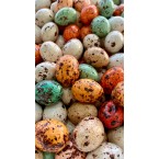 Bi Çitle Çikolatalı ...