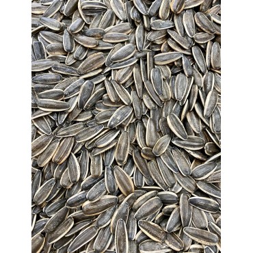 Bi Çitle Siyah Tuzsu...